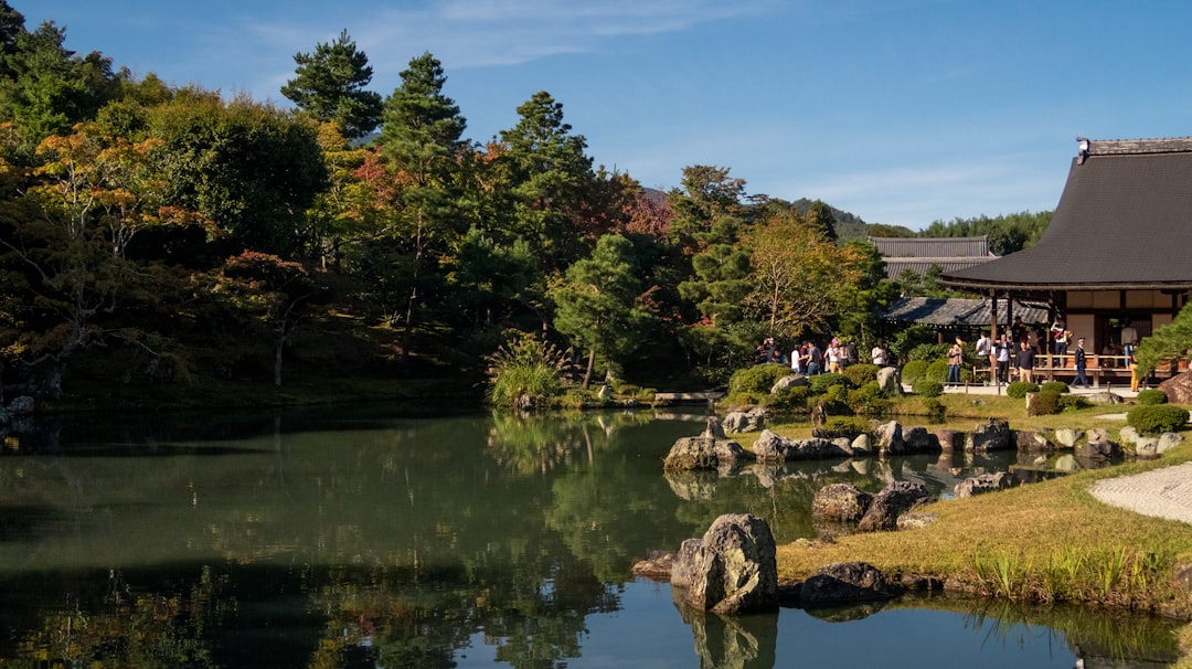 Photo Rock garden