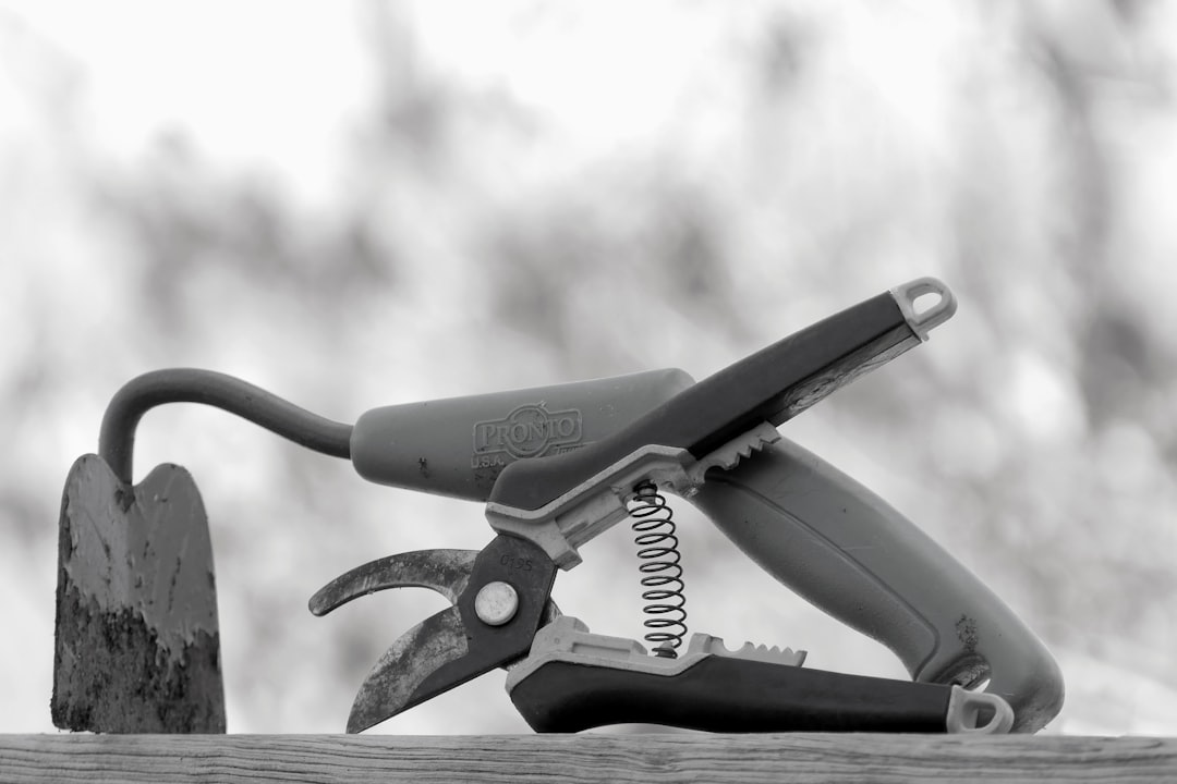Photo Pruning shears
