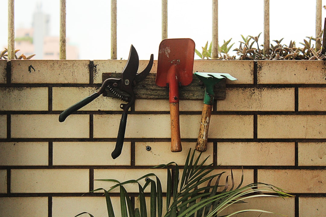 Photo Garden shears