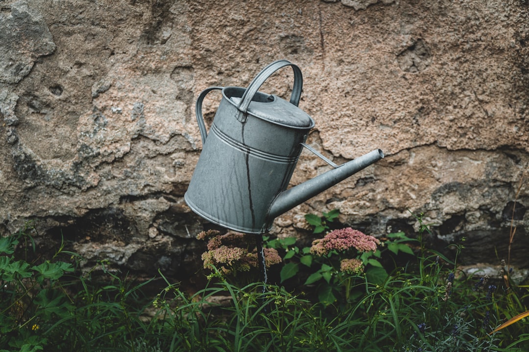 Photo Watering can