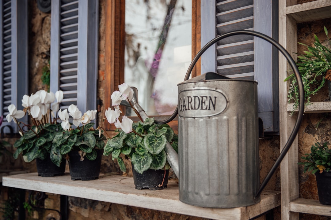 Photo Watering can