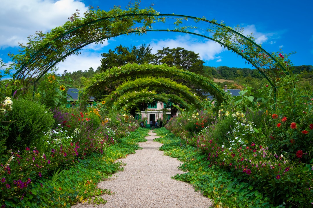 Photo Garden shears