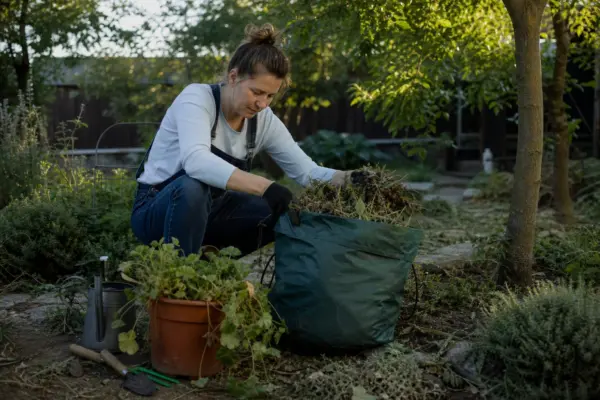 Pregătirea grădinii toamna: ce resturi vegetale păstrezi și ce îndepărtezi