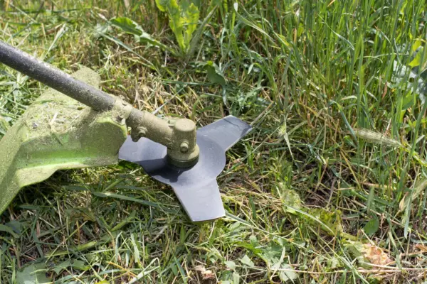5 greșeli de tundere care pot slăbi gazonul
